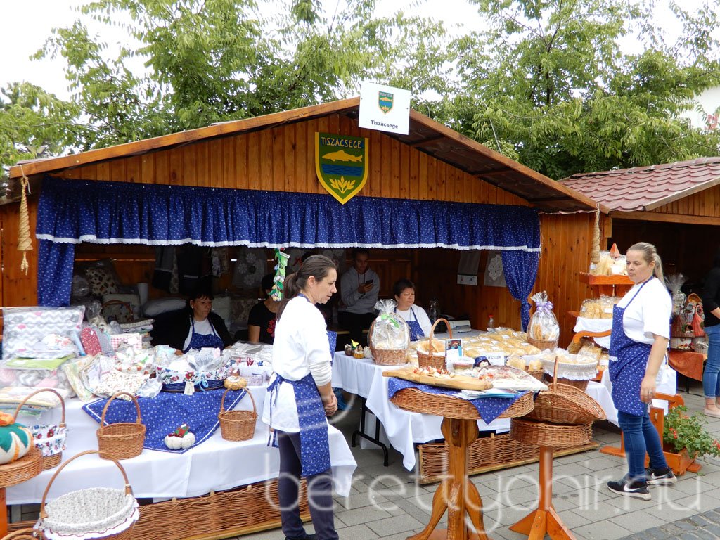 Helyi Értékek Startja 42